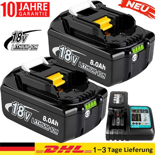 Batteria caricabatterie 0 - 2x, 8,0